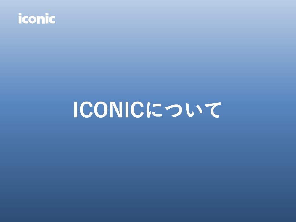 2024年版（2024年5月調査）