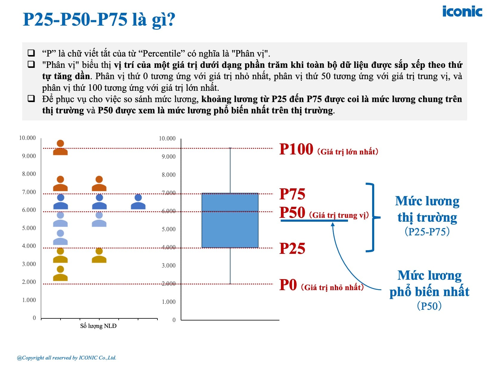 [2025] Báo cáo khảo sát lương tháng 5 năm 2025